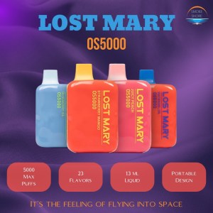 Lost Mary OS5000 Disposable Vape